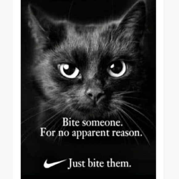 Brand New! Animal Bundle set of three 8.5x11 Ultra Glossy Wall/Locker Posters!😃 - Picture 6 of 8